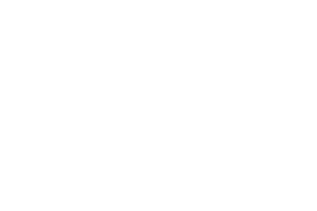 Obiyo Shots — logo